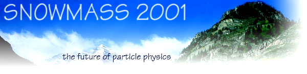 Snowmass 2001 Logo